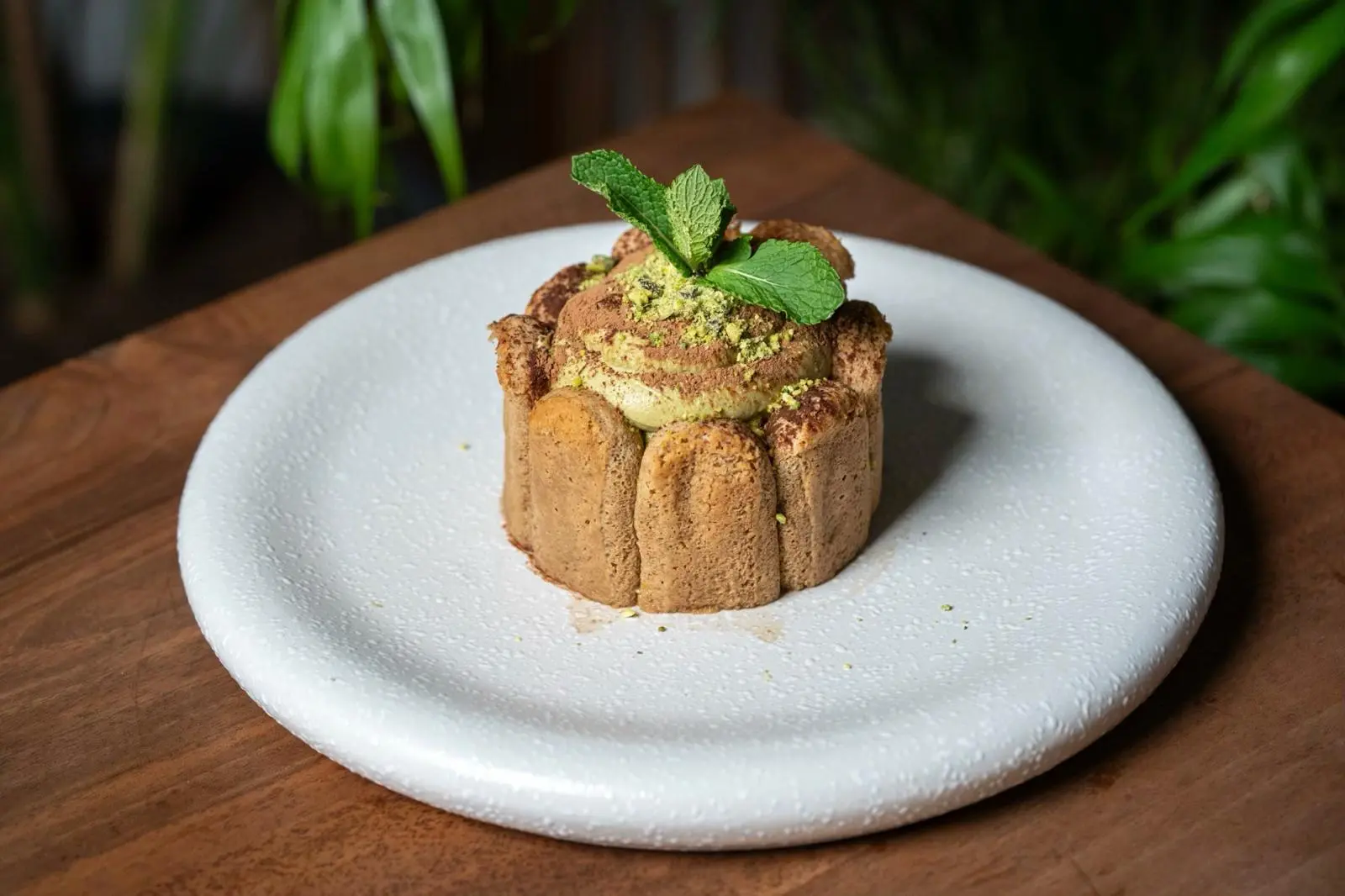 Pistachio Tiramisu